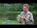 Известный травник Михаил Гордеев приглашает волонтеров на сбор трав