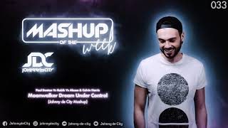 Maor Levi Vs Faithless Vs MEDUZA - Little Star Top Of Insomnia Control (Johnny de City Mashup) #033