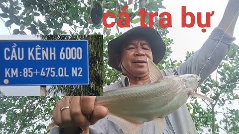 Tập 028 chia sẻ điểm câu cá ở kênh 6000 gặp ổ cá rô cá tra bự quá 