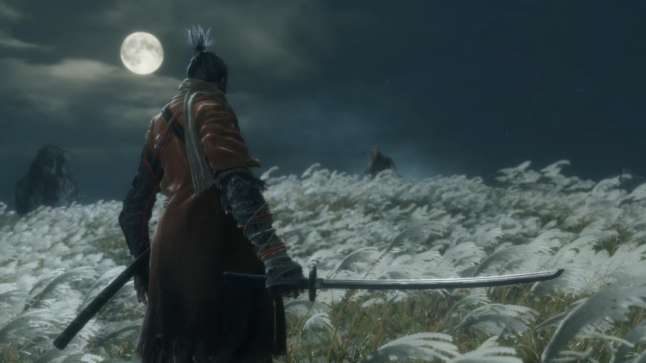Can You Beat Sekiro Without Dying? Watch Me Try