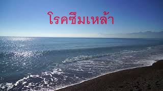 โรคซึมเหล้า : [Cover Version  Noom_Music]  l  [ลำเพลิน วงศกร : original]