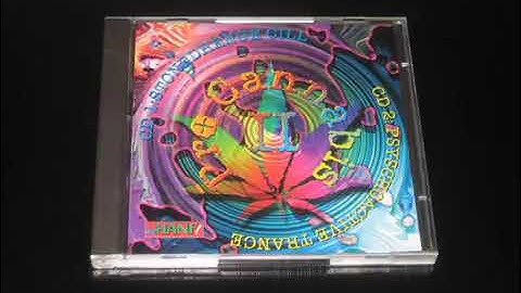 Paradise Connection   Creation 1996