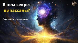 Лучший Метод Укрепить Свою Психику - Випассана. В Чем Уникальность И Как Выбрать. | Йога Хаб Клуб