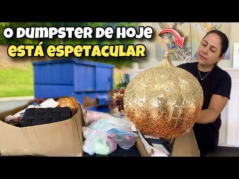 O dumpster de hoje está espetacular! Lixo dos Estados Unidos!🇺🇸