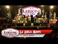 Los Liricos Jr. On Stage - La abeja miope ft. Angel Daniel (Video Oficial)