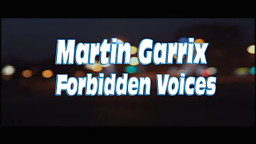 Martin Garrix -  Forbidden Voices #david