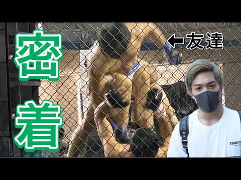 太田忍Ota ShinobuYouTube投稿サムネイル画像