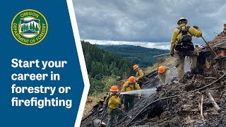 Start your career in forestry or firefighting as a Forest Crew Coordinator at So