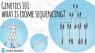 What is Exome Sequencing? | Genetics 101 | Ambry Genetics