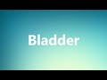 Bladder - Medical Definition and Pronunciation