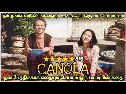 தன் பேத்திக்காக எதையும் செய்யும் பாட்டி | Film roll | தமிழ் விளக்கம்