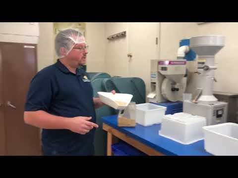 Learn the process of milling rice