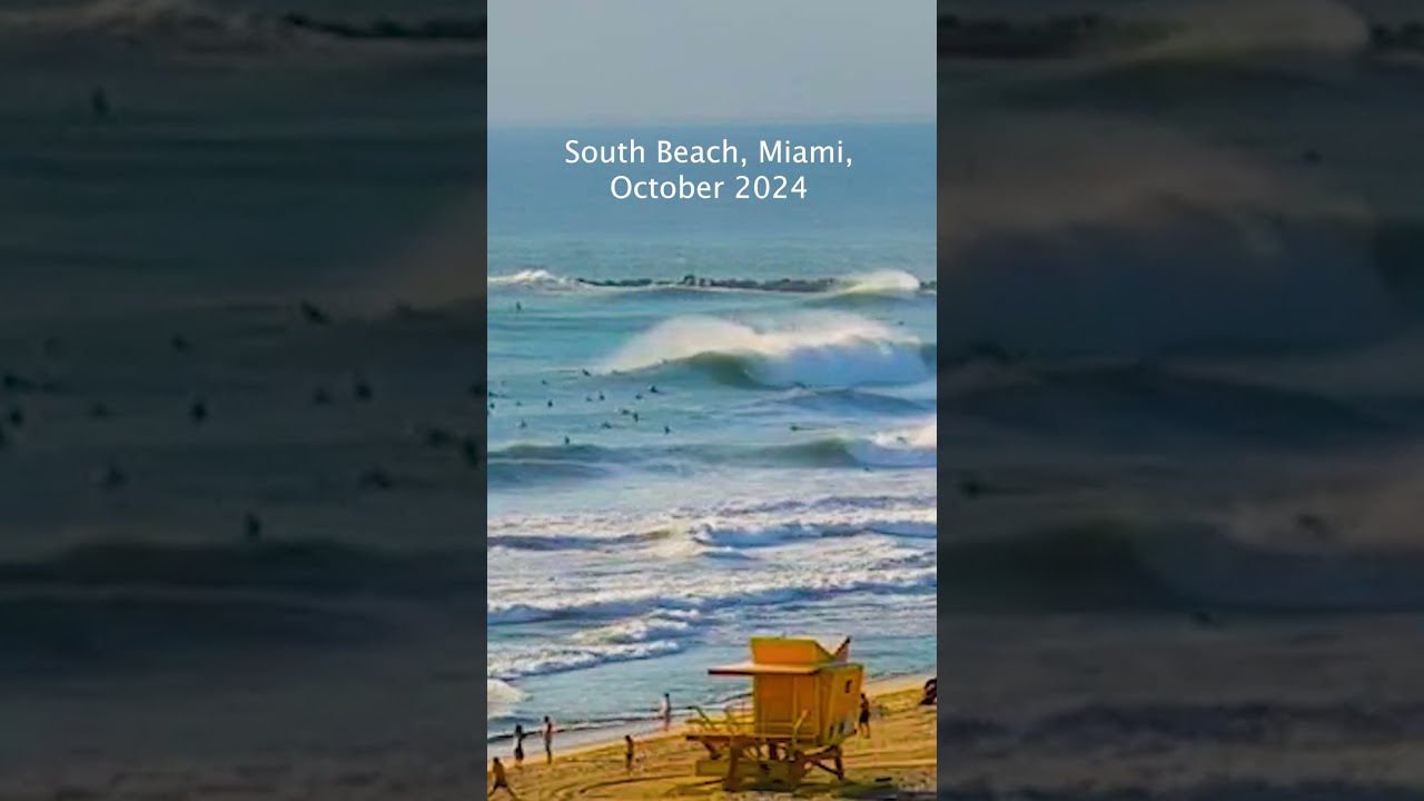 Clips
