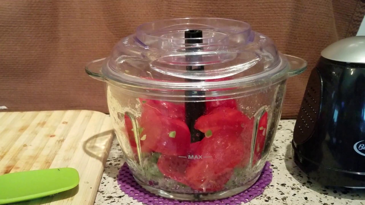 Salsa Master Salsa Maker - As Seen On TV Food Chopper & Manual