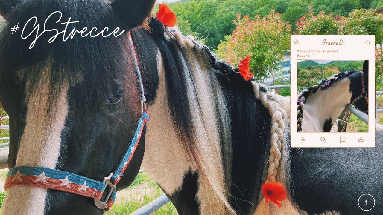 TUTORIAL TRECCE  alla FRANCESE✨ep.1 ✨||GS||