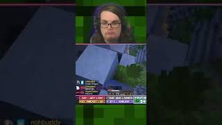 Basically, Minecraft Crowd Control