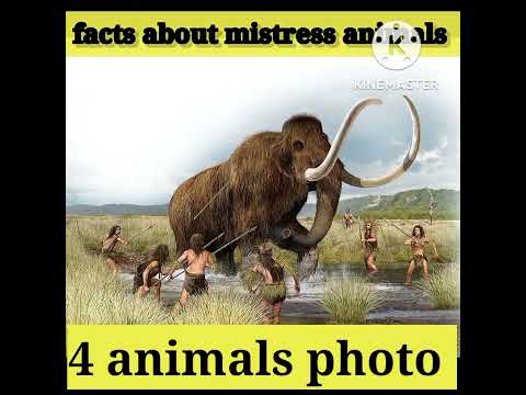 facts about mistress animals #short treding video