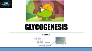 Glycogenesis/ Glycogen Synthesis