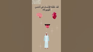سورة التين من دون تكرار للأطفال |  Surah Al  Teen for kids