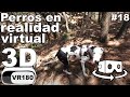 Perros en realidad virtual | Episodio #18