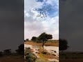 أنا عند ظن عبدي فليظ ن عبدي بي ما يشاء ما يشاء نعم ما يشاء أحس نوا الظن وأل حوا وأكثروا أنا عند ظن عبدي فليظ ن عبدي بي ما يشاء ما يشاء نعم ما يشاء أحس نوا الظن وأل حوا وأكثروا