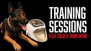 Training Sessions: Teaching Felix Indirect Rewards with the Treat &amp; Train