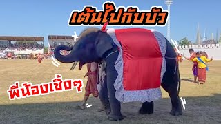 เต้นกับดาวกับบัวบาน⚠️एक हाथी,elephant