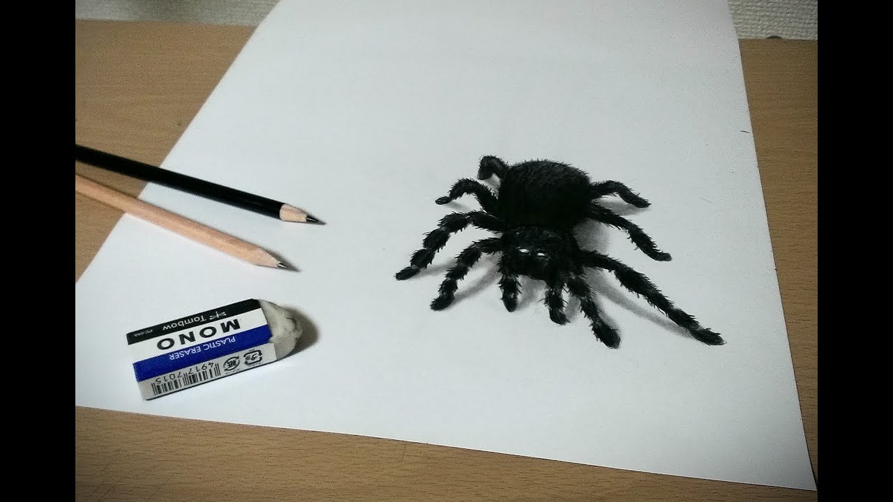 色鉛筆で蜘蛛を描いてみた How To Draw A Realistic Spider Youtube