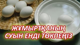 Қайнаған Жұмыртқаның Суын Енді Тастай Салмаңыздар, Жұмыртқа суы пайдалы, Керек арнасы, Жұмыртқа