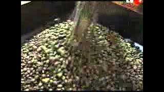 Download lagu Tv One 1106 Gelar Mutu IKM 2013 a)