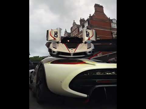 MENTE MA Musclecomp Musclecareditz