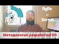 Agile и Scrum | Методология разработки ПО