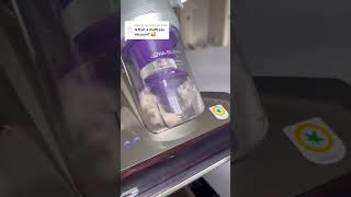 How To Keep Your Bedroom Odor Free Vacuum That Mattress