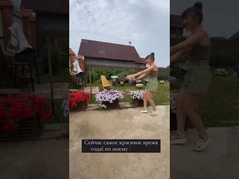 Ящики для цветов