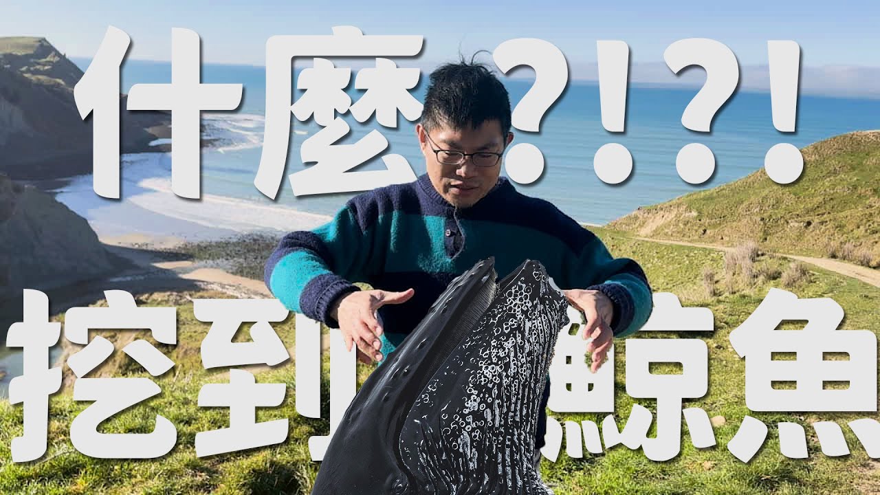 這裡竟然埋著鯨魚！🐋 寶石獵人李承倫南島探險｜螃蟹、鸚鵡螺、蚌、珊瑚化石全紀錄