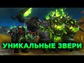 Уникальные Звери для Охотника в WoW TBC Classic!