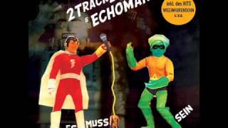 2Trackboy &amp; Echomann - Muchachoplastico