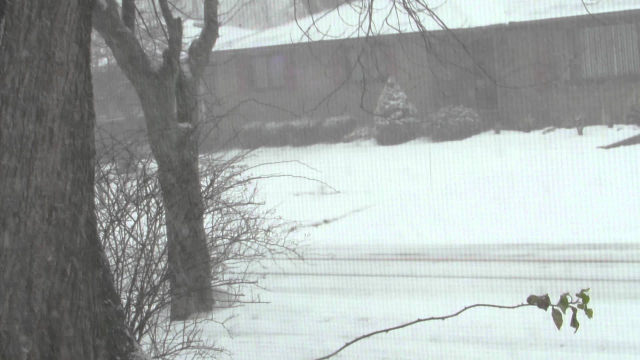 Heavy lake effect snow with whiteout conditions 1/16/2016 - YouTube