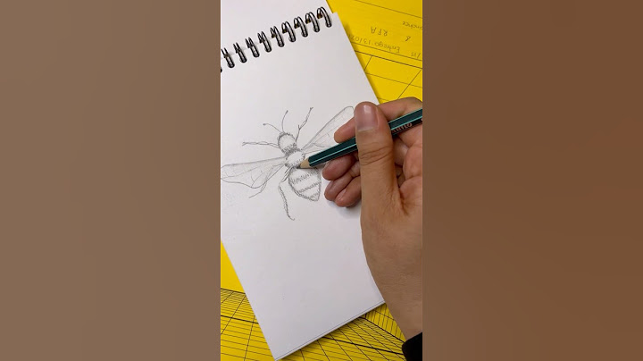TODO lo que tienes que saber de los LÁPICES DE DIBUJO ✍️ pt II #lapicesdedibujo #arte #aprendiendo