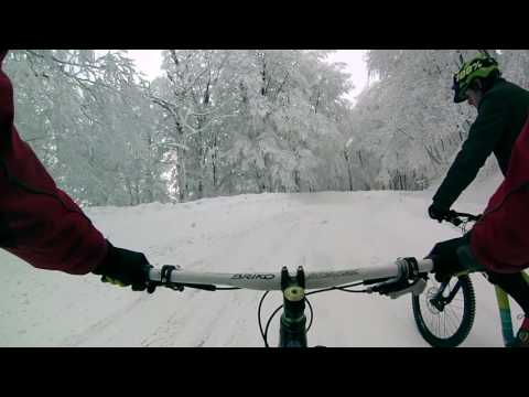 გასეირნება თბილისის ეროვნულ პარკში