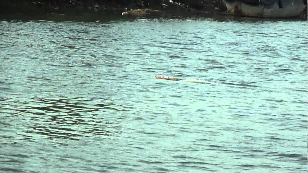 RC Riva Aquarama Wooden Speed Boat Model Remote Control Boat part 1