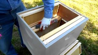 Installing Deep Nuc into 2 Medium Hive Bodies - Part 1