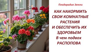 картинка: 🔥Золотая таблетка для спасения комнатных цветов🔥№688/24