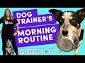 Morning Routine with my Dogs Morning Routine with my Dogs