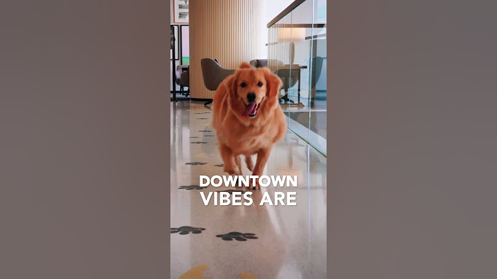 Guess who's stepping into the Downtown Dubai scene? #VidaDubaiMall is about to make waves!
