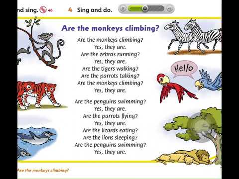 Class book/ unit