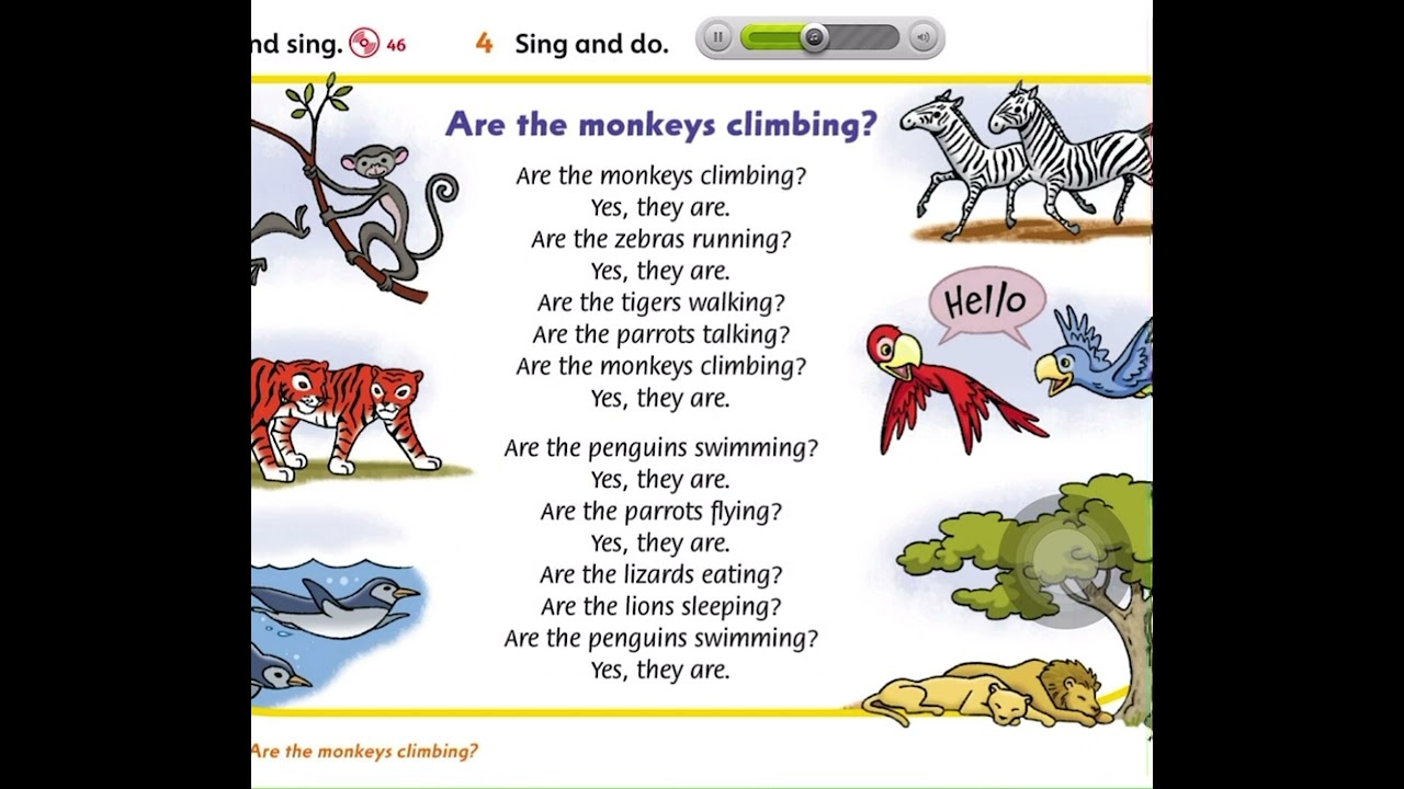 Class book/ unit 5 /lesson 3 (Are the monkeys climbing?)