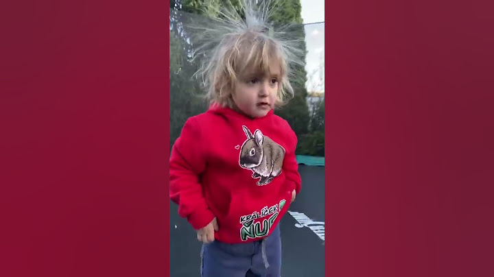 Pampeliška Arianka 🦔