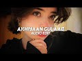 Akhiyaan gulaab  mitraz edit audio