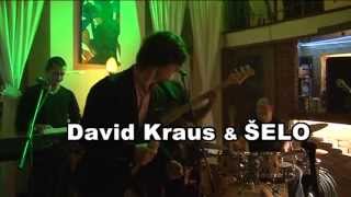 Video thumbnail of "David Kraus"